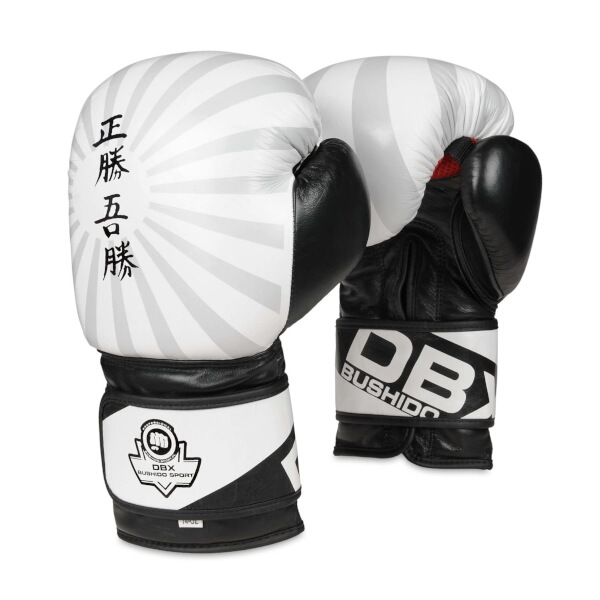 B-2V8 14 OZ BOXERSKÉ RUKAVICE DBX BUSHIDO