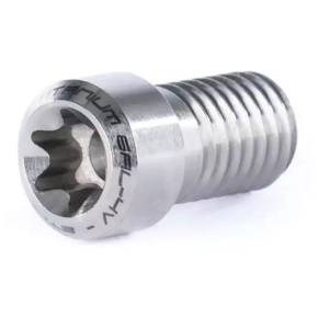 Ethic Titanium Clamp Screw (Unity) Raw