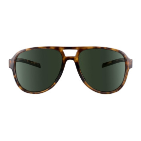 Brýle sluneční TSG Cruise Sunglasses Brown