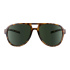 Brýle sluneční TSG Cruise Sunglasses Brown