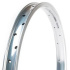 Salt Plus Mesa BMX Rim (Silver Polished)