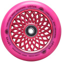 Kolečka Root Lotus 110x24mm Radiant Pink 2ks