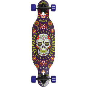 Hydroponic DT Pro děti Kompletní Longboard (31.5"|Mexican Skull Purple)